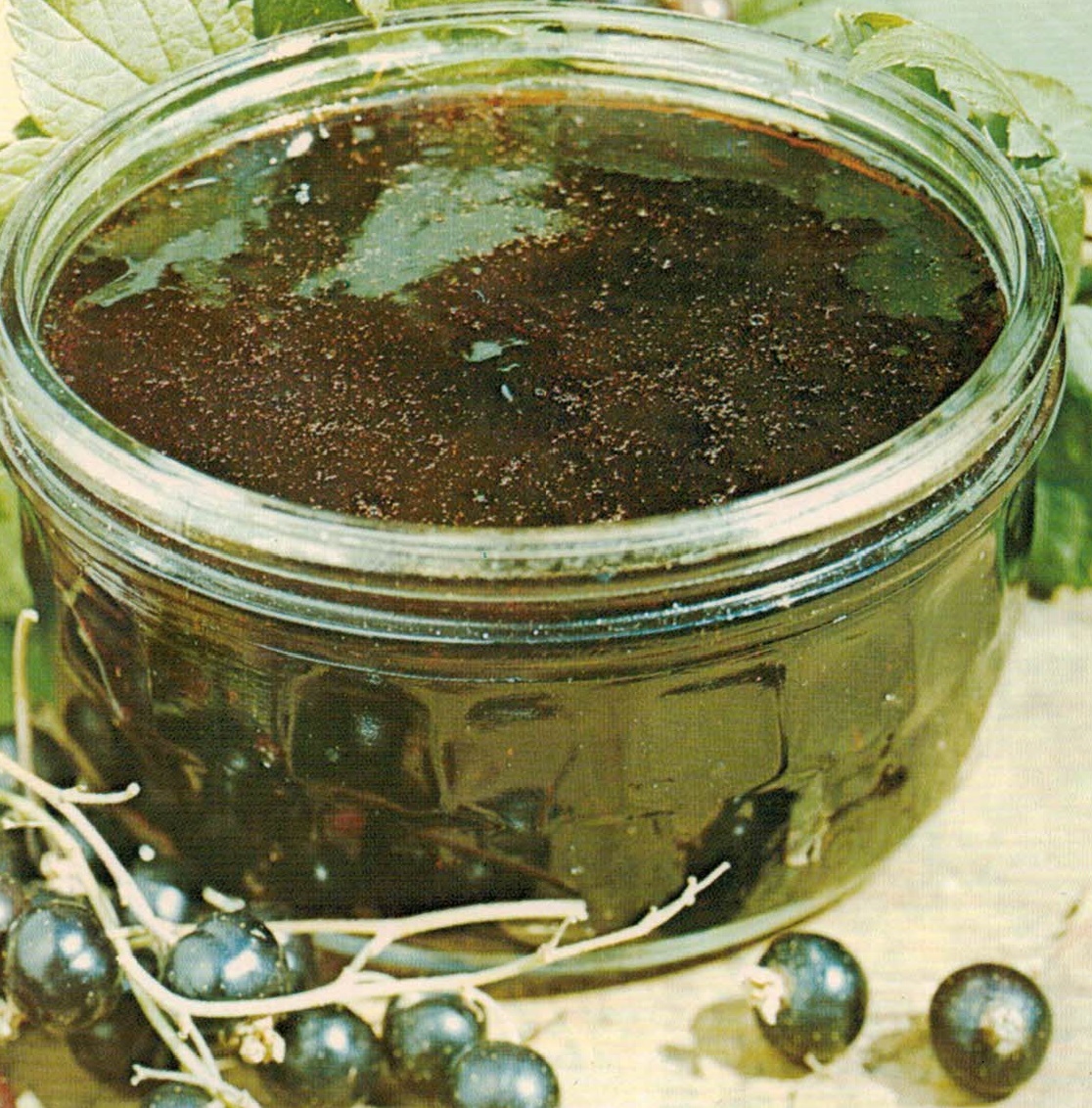 Solbær- eller ribsgelé